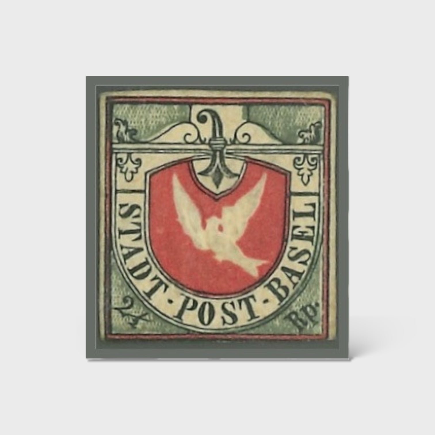 Basler Taube online kaufen im Rapp Shop Now.